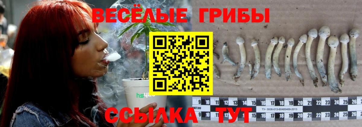 Ханты-Мансийск  цены   Вход с VPN  Галлюциногенные грибы GOLDEN TEACHER  Галлюциногенные грибы GOLDEN TEACHER 